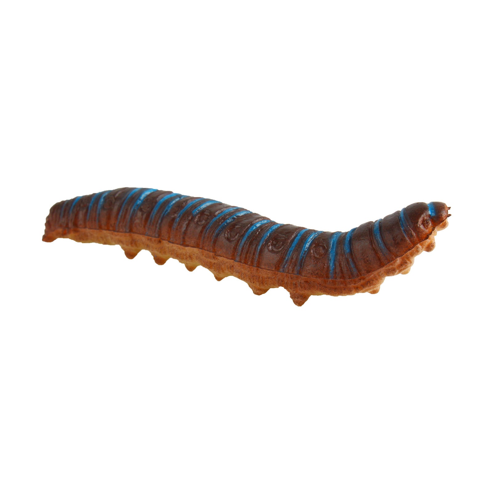 Andux 12 Pcs/Pack Simulation Caterpillars Reptile Crawling Insect Animal  Prank Trickery Toy FZCZ-01 – Nooly Toys