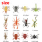Larcele 12 Kinds Simulated Animal Model Insects and Bugs DWMX-01